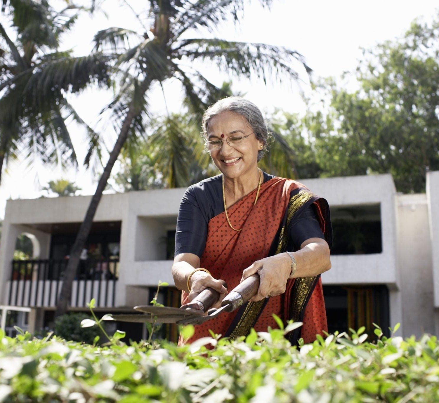 Discovering New Interests. Gardening, reading, painting, cooking, music, etc. with Senior citizen counseling 